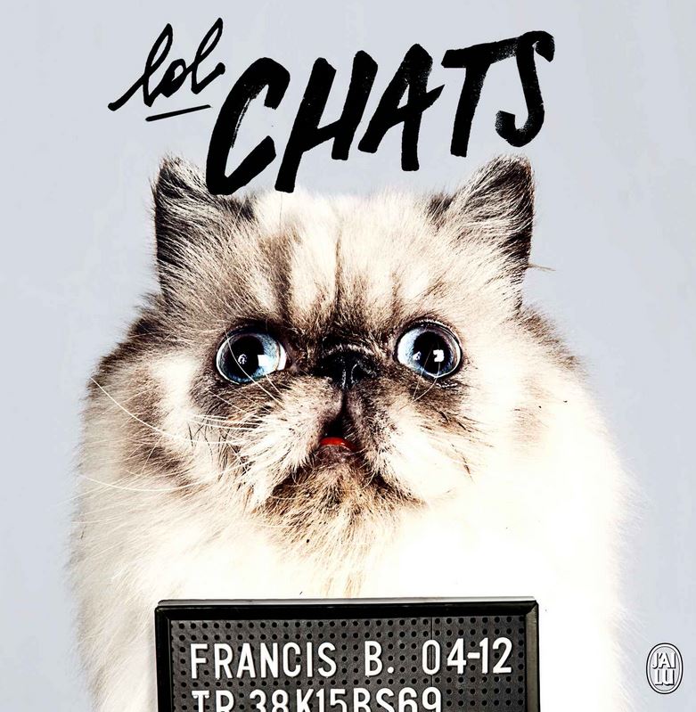 Le Livre Lolchats Lol Chat Images Photos Et Videos De Lolcats